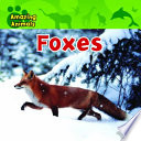 Foxes cover