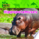 Hippopotamuses cover