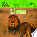 Lions cover