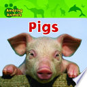 Pigs cover