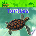 Turtles cover