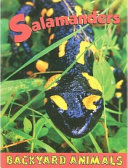 Salamanders cover