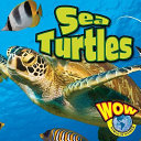 Sea Turtles cover
