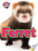 Ferret (My Pet) cover