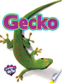 Gecko (My Pet) cover