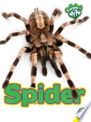 Spider (My Pet) cover