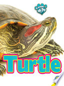 Turtle (My Pet) cover