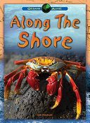 Along the Shore cover