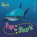 Pup to Shark cover