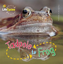 Tadpole to Frog cover