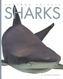 Sharks (Amazing Animals, 2010 Edition) cover