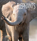 Elephants cover