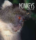 Monkeys cover