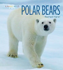 Polar Bears cover