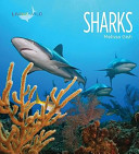 Sharks (Living Wild) cover
