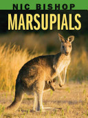 Nic Bishop Marsupials cover