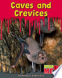Caves and Crevices cover