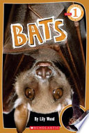 Bats cover