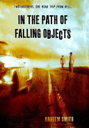 In the Path of Falling Objects cover
