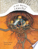 In My Dreams I Can Fly cover