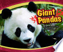 Giant Pandas cover