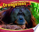 Orangutans cover