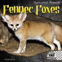 Fennec Foxes cover