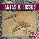 Fantastic Fossils cover