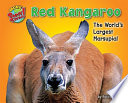 Red Kangaroo: The World's Largest Marsupial cover