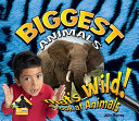 Biggest Animals cover