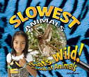 Slowest Animals cover