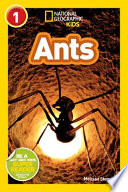 Ants cover