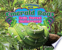 Emerald Boas: Rain Forest Undercover cover