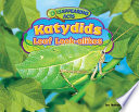Katydids: Leaf Look-alikes cover