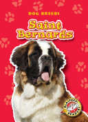 Saint Bernards cover