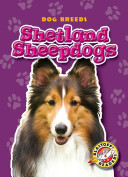 Shetland Sheepdogs cover