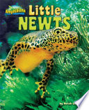 Little Newts cover