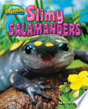 Slimy Salamanders cover