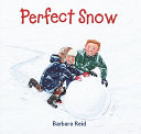 Perfect Snow cover