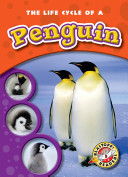 The Life Cycle of a Penguin cover