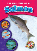 The Life Cycle of a Salmon cover