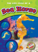 The Life Cycle of a Sea Horse cover