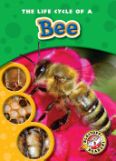 The Life Cycle of a Bee cover