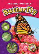 The Life Cycle of a Butterfly cover
