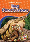 Boa Constrictors cover