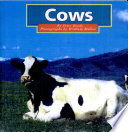 Cows cover