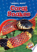 Coral Snakes cover