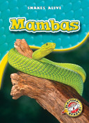 Mambas cover