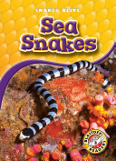 Sea Snakes cover