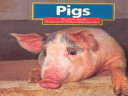 Pigs cover